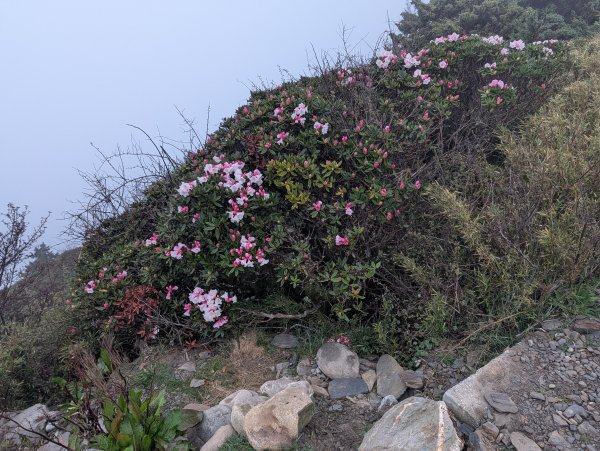 合歡山主峰3048401