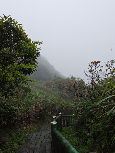 20260327茶壺山3024506