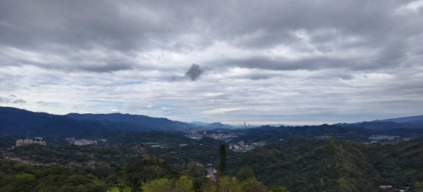 2026/03/01-紅淡山步道3010076