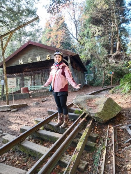 阿里山眠月線20211229-301618042