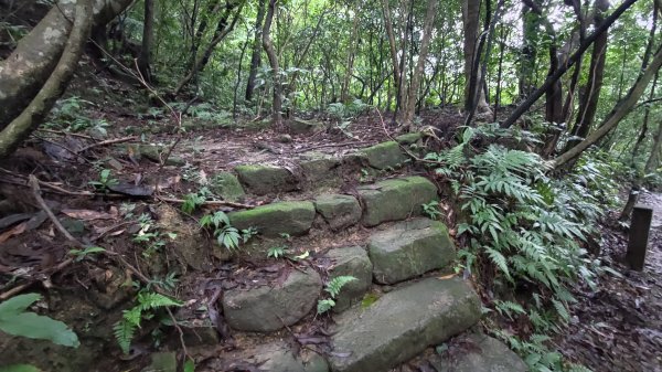 淡蘭古道中路2309175