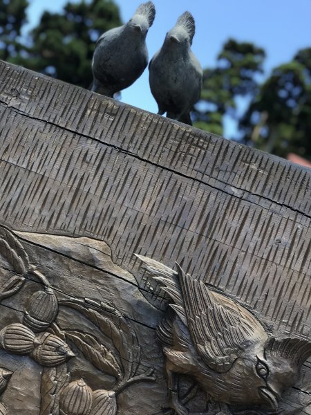 110年5月16日高雄   藤枝國家森林遊樂區1456988