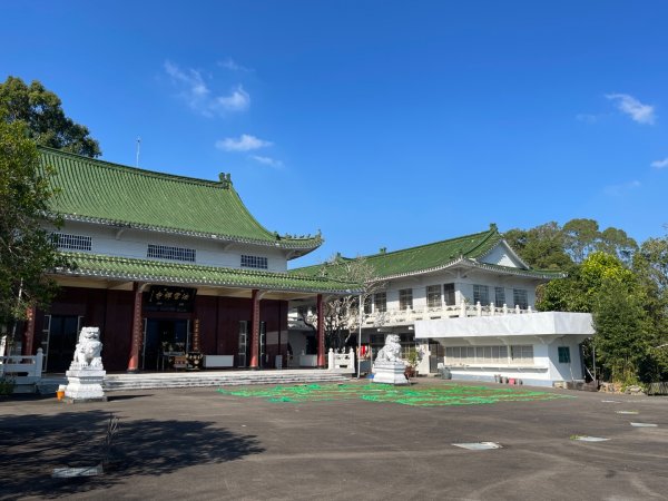 1141207金童山2957710