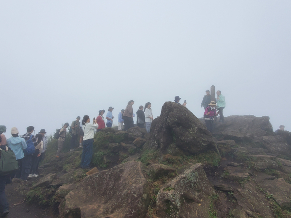小油坑＞七星池＞七星山＞苗圃
