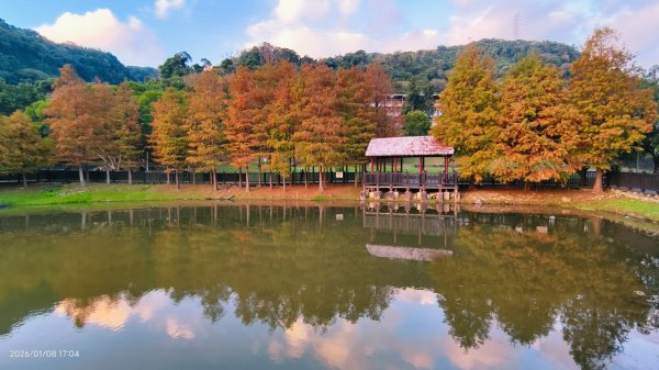 #花卉試驗中心 #永公路500巷 #平菁街42巷 #原住民公園 #士林官邸 1/42979253