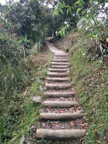 小百岳:東藤技山1654711