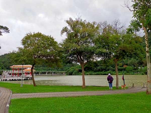 大港墘公園、大湖公園 (防災公園) - “非常愛尋寶”【走路趣尋寶，全臺齊步走】1883882