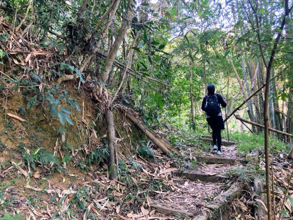 後尖山步道2683564