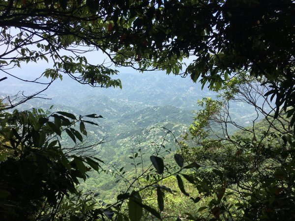 馬武督外鳥嘴山955905