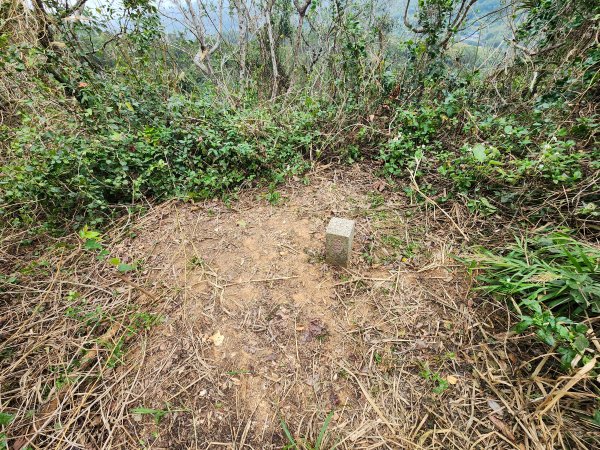 20250101海口山、糠榔埔山、闖水窩山及大牛朝山2726207