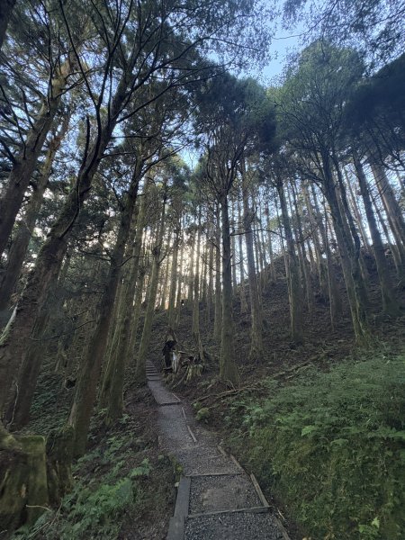 20251225塔山步道(大塔山)2970312