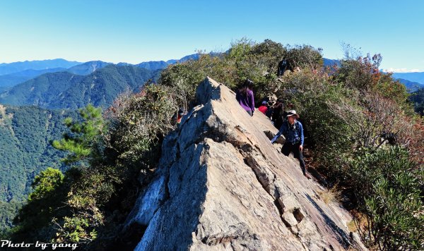 鳶嘴稍來山順時針標準O型縱走1183072