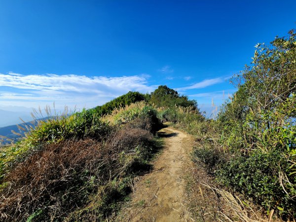 小百岳集起來-雲嘉大尖山2182903