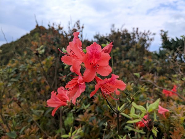 石尾路步道燦光寮山1655504