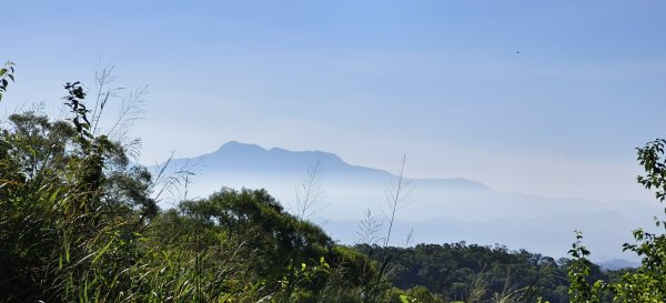 2025/11/09-青青草原步道2933463