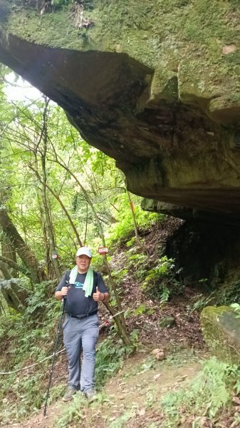 雙溪區溪尾寮古道-藤寮坑古道O型3114486