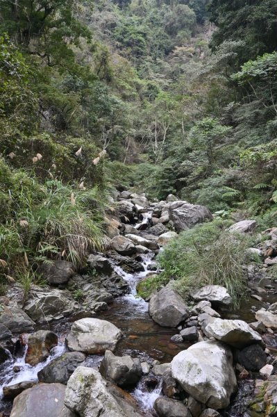 谷關七雄-唐麻丹山2888727