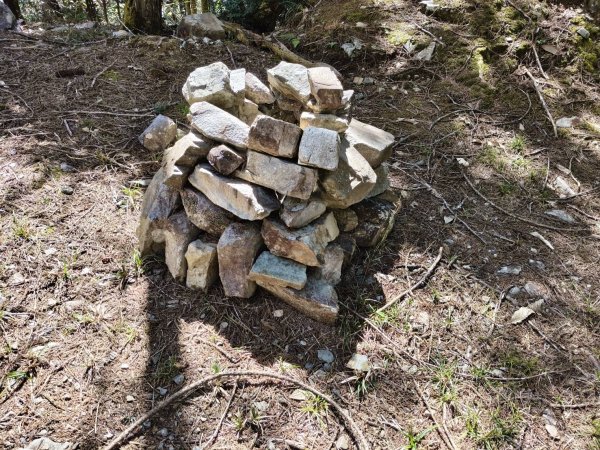 20260215台中南投裡冷尾敏山，又稱王辨山3000585