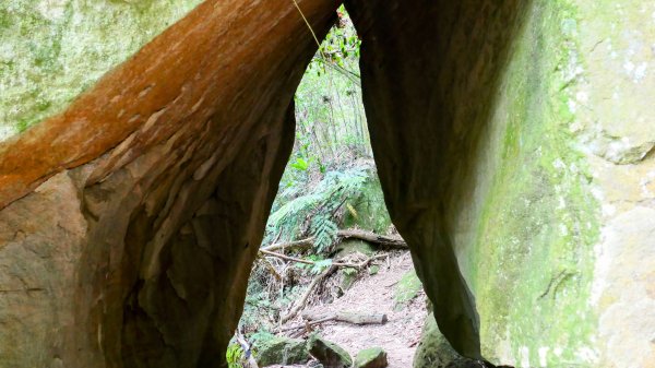 大邱田石門洞2856206