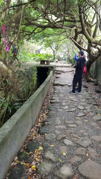 南子吝步道（陰雨天）_20181122464451