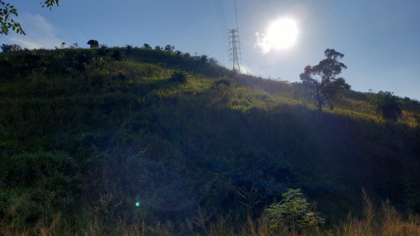 《台中》霧霾夕陽｜龍井竹坑南寮登山步道202211271929100