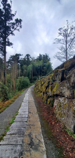 2025-01-18頂湖步道2694213