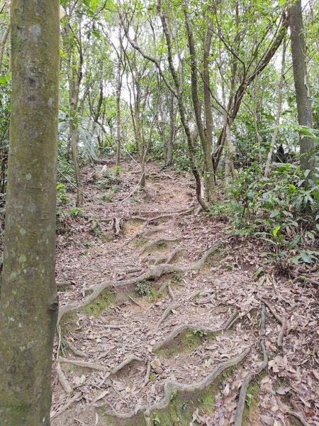 臺北大縱走第四段 風櫃口至中華科技大學2774218