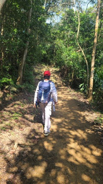 2025-0204 鶯歌_大凍山_三角埔頂山_迴龍2707915