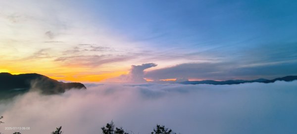 跟著雲海達人山友追雲趣 #月光雲海 #曙光雲海 #日出雲瀑 7/132834980