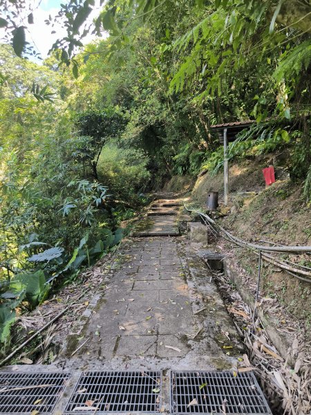 20251010微笑山線：【五分山系】菁桐煤礦段2910190