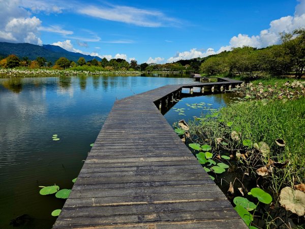 大坡池環潭步道-2025漫遊縱谷愛在花東-台東縣池上鄉2916637
