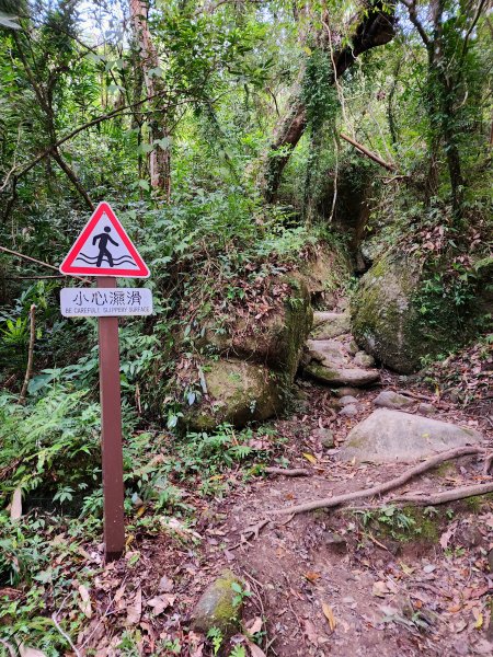 小百岳集起來-都蘭山2184294