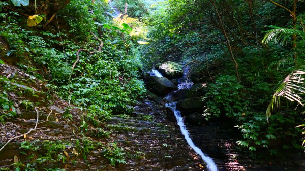 大尖山瀑布2932170