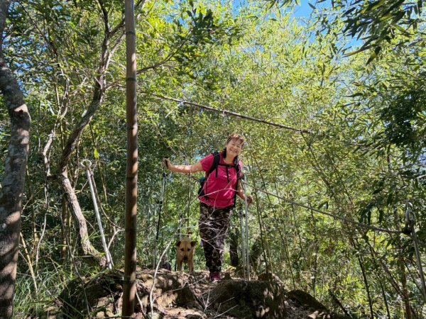 雙崎埋伏坪山歩道、鯉魚潭水庫、大峽谷2938940