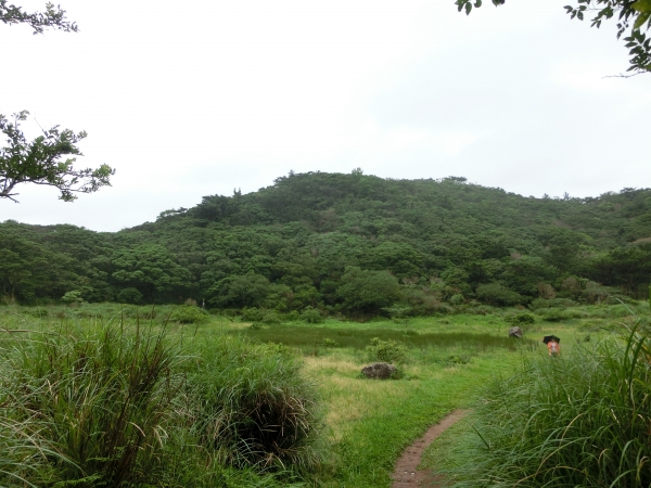 向天池封面