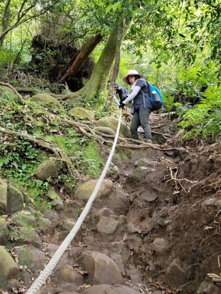 20230404愛上土徑山路 (頂湖山-中正山-大屯西峰-面天坪-清天宮)2096231