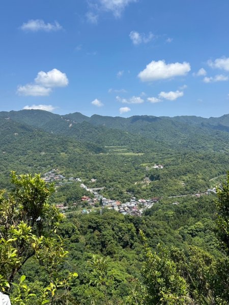 孝子山、普陀山、慈母峰賞鹿子野百合O走2592951