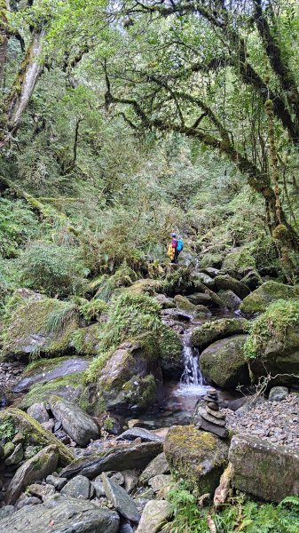 棲松縱走未竟2918394