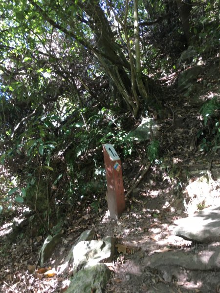 20161119_谷關七雄之四-波津加山873768