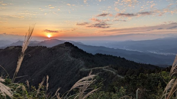 113.11.30頂子寮山-五分山