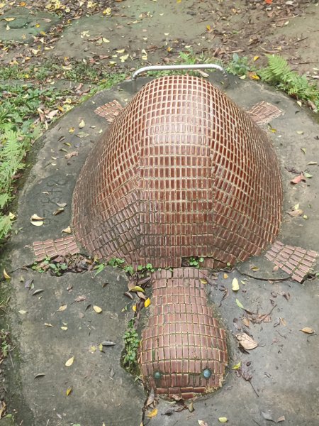 臺北大縱走第六段3025112