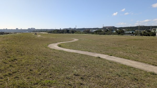115.01.03山水步道-中庄吊橋-月眉落羽松之旅2977055