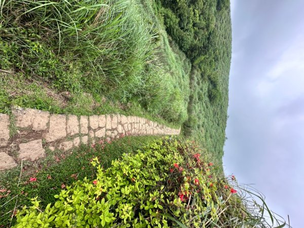 臺北大縱走第三段 小油坑》風櫃嘴2478303