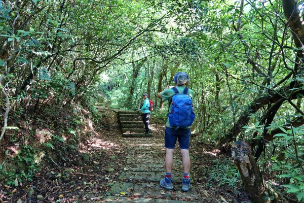 草嶺古道-大溪線-桃源谷-虎字碑-草嶺古道-福隆 202409092593290