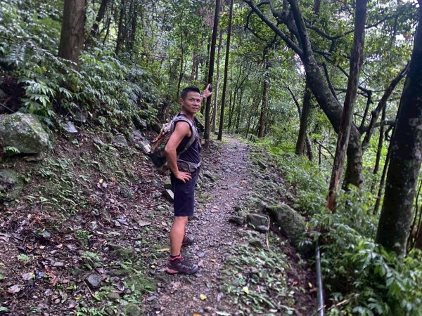 南庄.蓬萊溪護魚步道.四十二份坪步道.小東河步道【差點一事無成的七月暑假】2849350