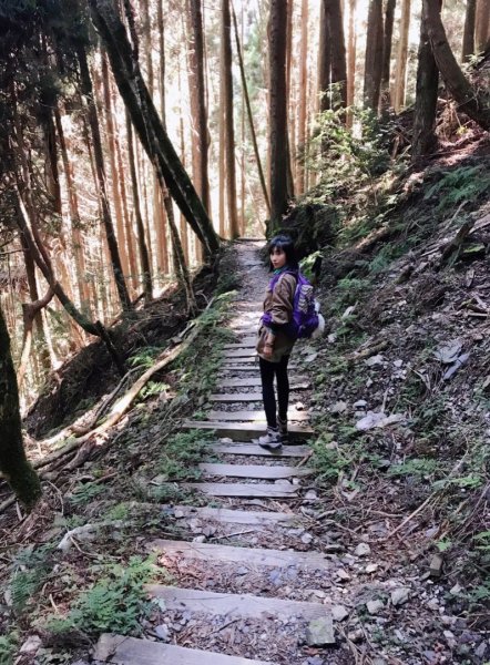 2017.10.28 檜山巨木群步道447775
