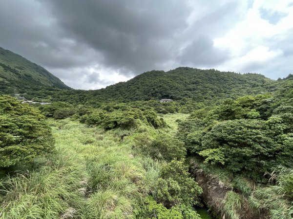 [走遍陽明山]2023_0723 冷擎步道2317501