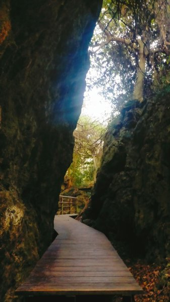 柴山夜爬看夕陽2993425