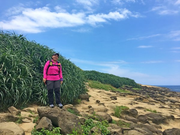 深澳岬角象鼻岩悠遊2019/7/24636566