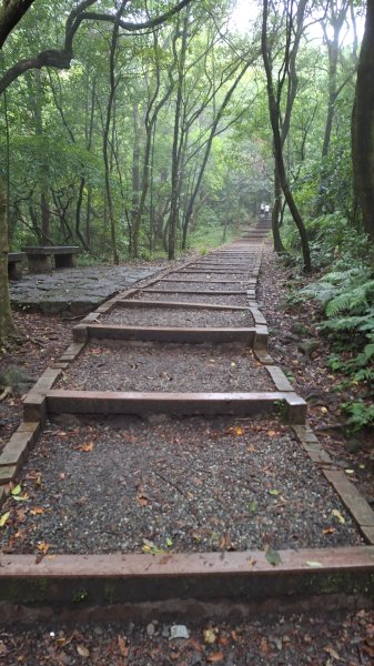 20251019 苗圃-七星山-小油坑2921120